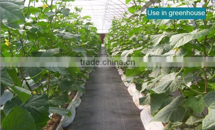 PP woven weed control mat