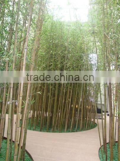 LT091807 High quality decorative artificial bamboo, fake bamboo bonsai tree made in China