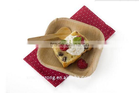 Bamboo Square Plates For Snack