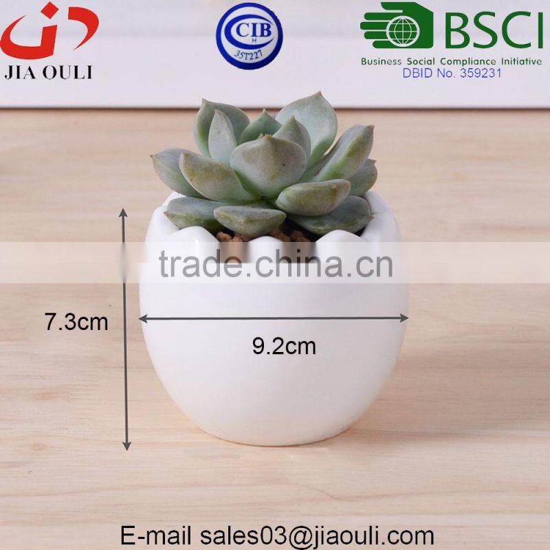 Glazed White Small Round Modern Ceramic Succulent Planter Pot