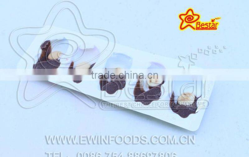 Cartoon Shape Chocolate Biscuit Candy