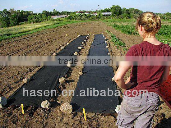 pp nonwoven fabric for weed control used in agriculture China manufacturers