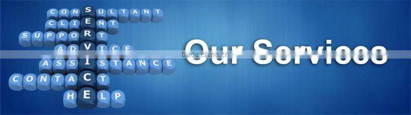 2017 China custom jeans plastic hang tag with string