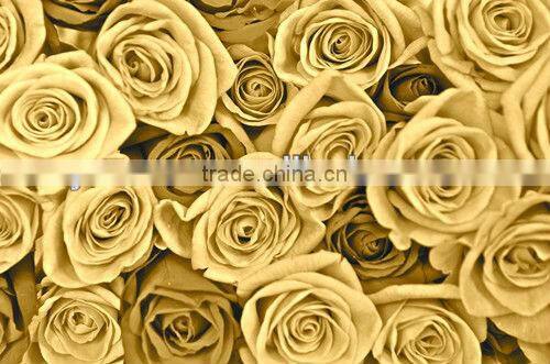 American girls july 4th patriotic navy blue and red chiffon fluffy pettiskirts kids tutu skirts