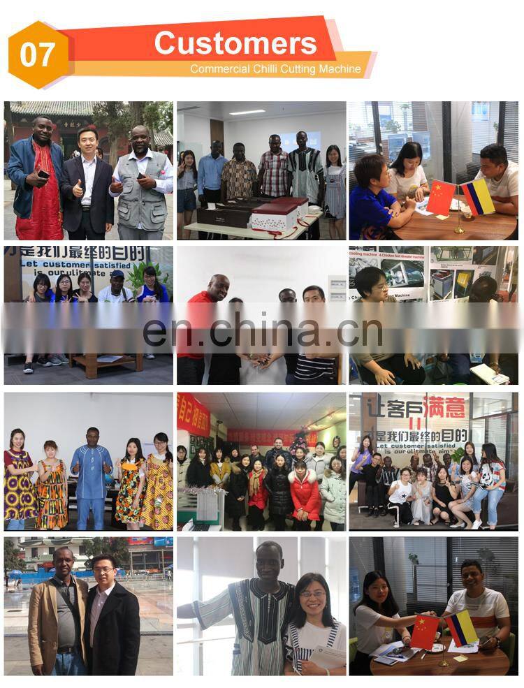 dry chilli stem cutting machine automatic dry chilli cutting machine