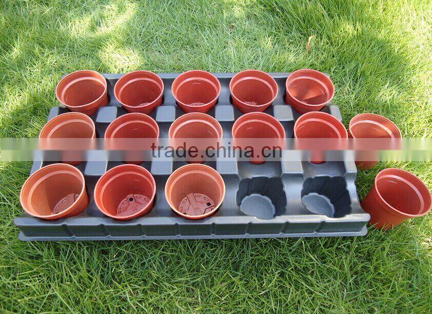 Garden plastic seed propagation tray for greenhouse--RGR1073