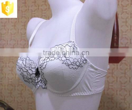 high quality new design sexy lace lady bra,hot sale sexy bra