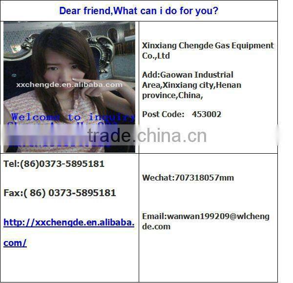 China high quality Natural gas regulating pipeline system