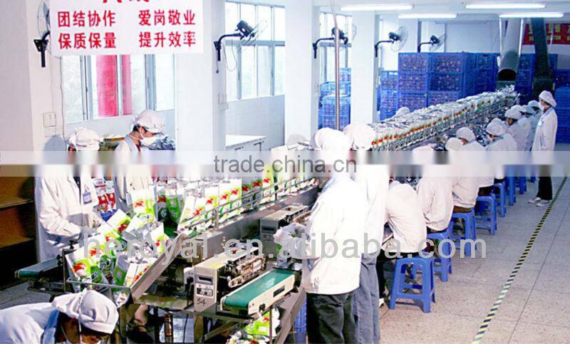 Xylitol Original Taste Walnut Powder in Giftbox