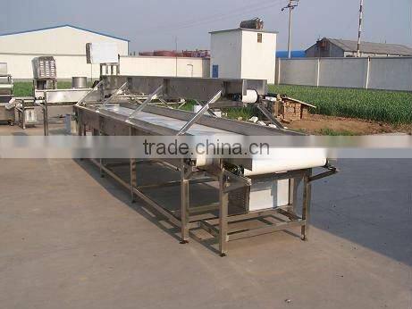 Two-Layer picking Conveyor