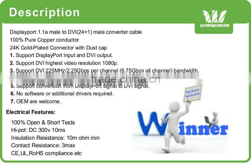 DisplayPort Male to DVI Cable Male Black