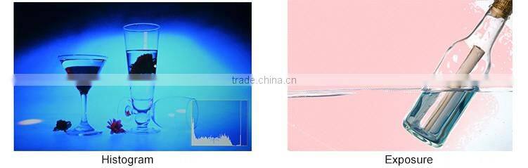 IPS panel resolution 1280x800 brightness histogram 7 inch hd field screen false colors ultra wide monitor