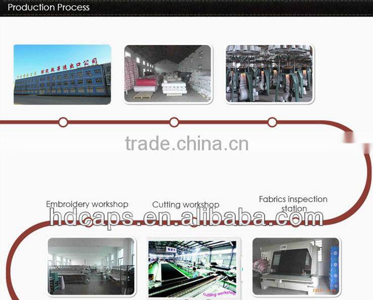 Fashion Custom Hats/Custom Snapback Hats Wholesale/Custom 5 Panel Hats