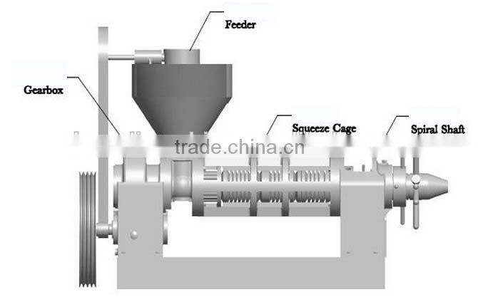 palm oil screw press