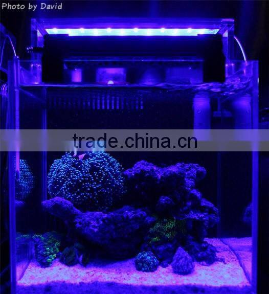 Distributors wanted Chihiros aquarium lighting led system 329-5361