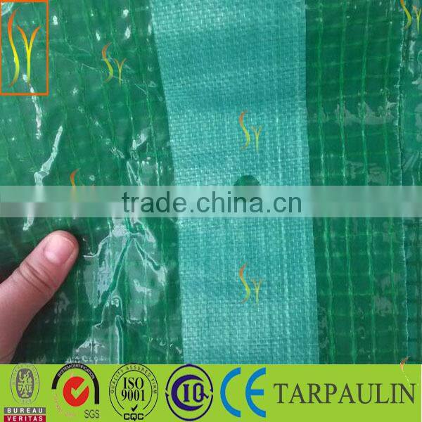 hot sale !transparent mesh scaffolding cover tarps,greenhouses cover tarps,tear-resistant sunproof pe leno tarpaulin