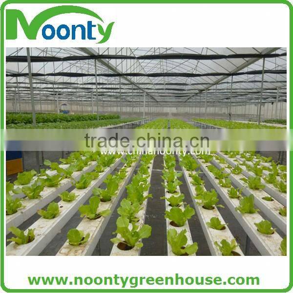 Spanish Style Film Greenhouse