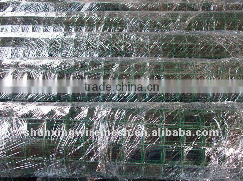 PVC Coated Holland Wire Mesh Factory