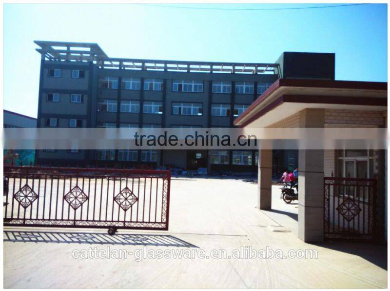 Bengbu cattelan glassware Cheap high ball drinking glass tumbler,water glass cup,juice glass.