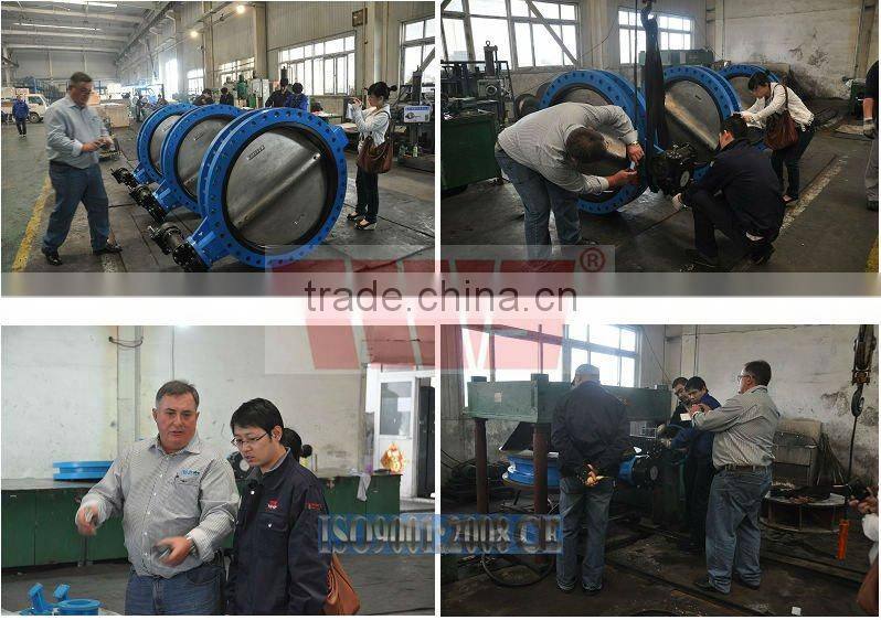 DN50~DN600 Series MH water swing check valve