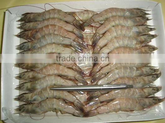 frozen whole round white shrimp