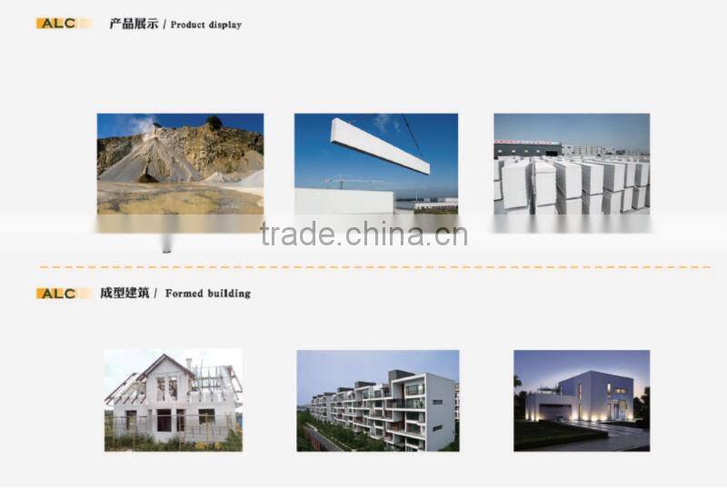 DONGYUE 2015 aac autoclaved curing equipment