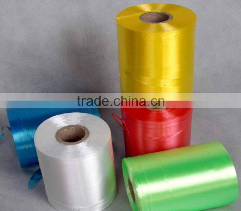 2015 hot China supplier PP/PE/Plastic finishing rope