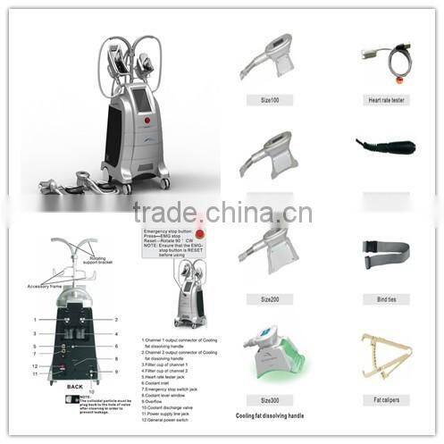 Repel the cellulite cryolipolysis laser/best cryolipolysis machine