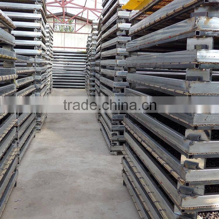 Chinese Black Goji Berry 100%