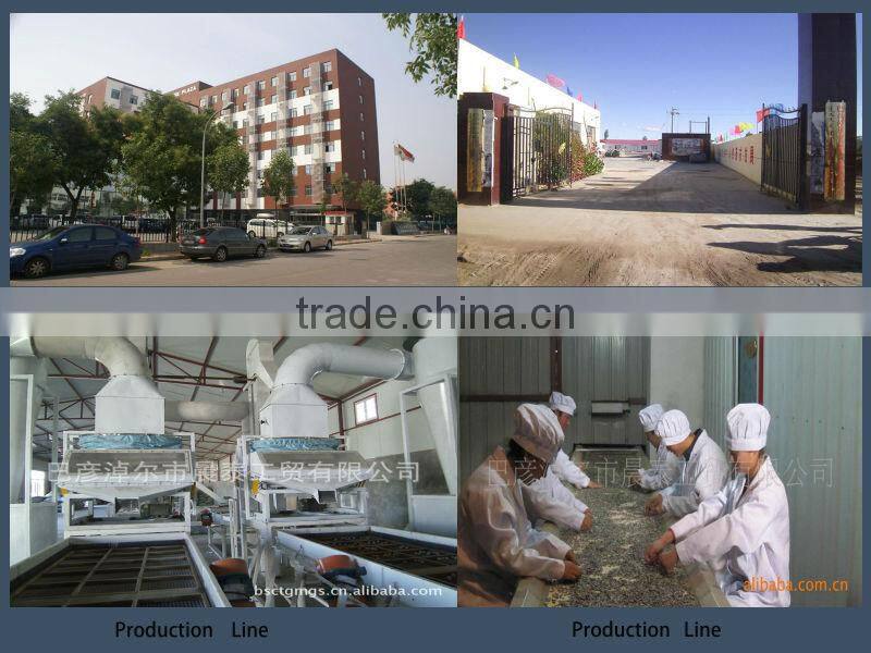 Wholesale 6009 Raw Striped Sunflower Seeds 24/64