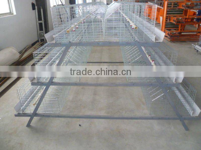 broiler chicken cage