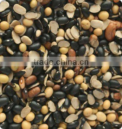 Jiexun automatic CCD black beans color sorter machine