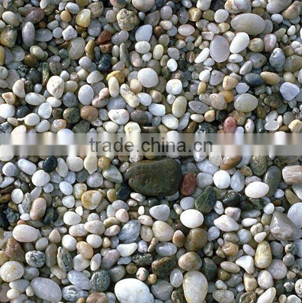 plastic PVC CCD color sorter machine