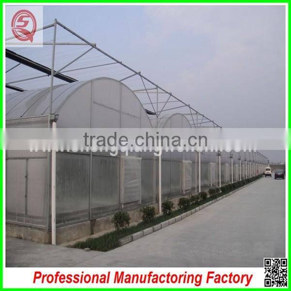 Hot sale single-span/multi-span plastic film greenhouse for agriculture