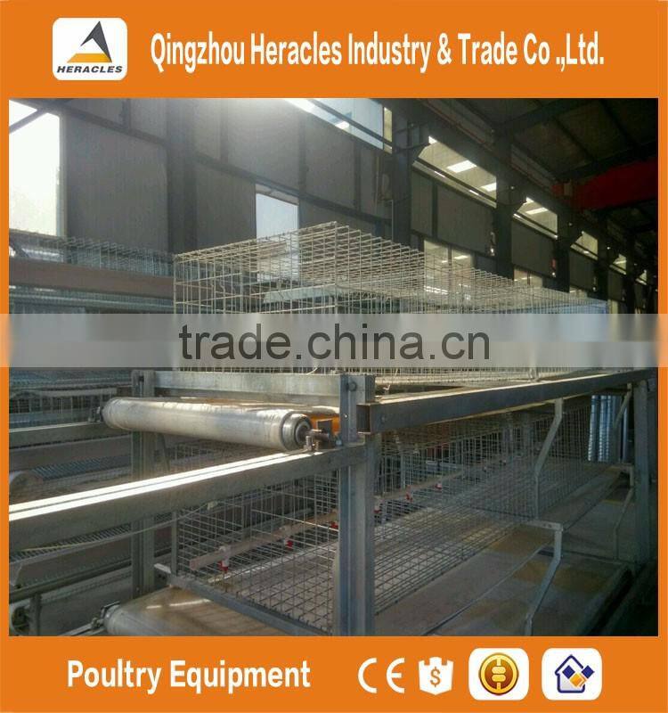 Heracles alibaba trade assurancechicken cage layer poultry farm house design