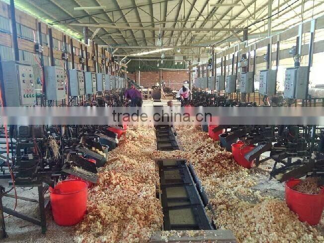 Major Custom Logo Durable Wooden Golf Tee