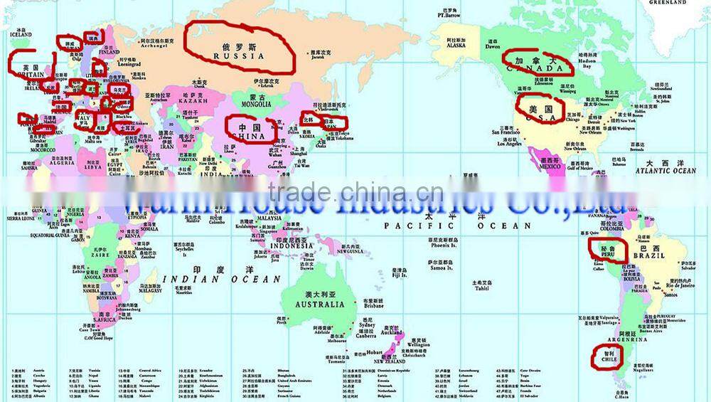 New Classic Styles Italian Women Shoes