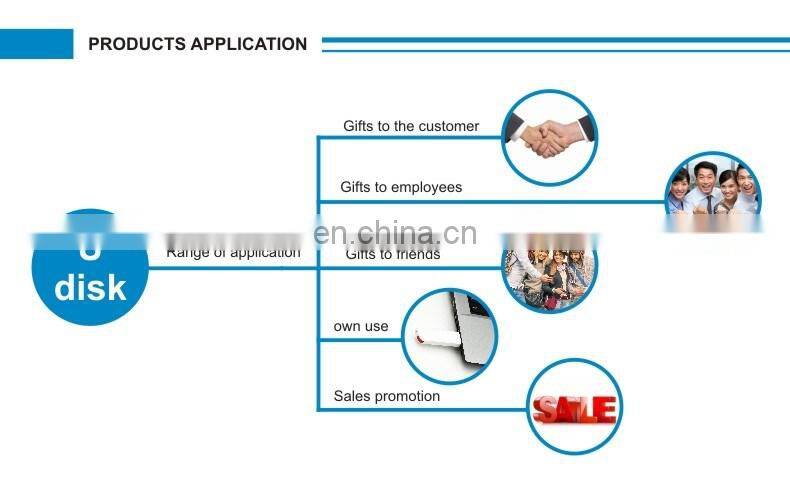 Bulk Buy Custom Airplane Shape 16GB PVC USB Stick