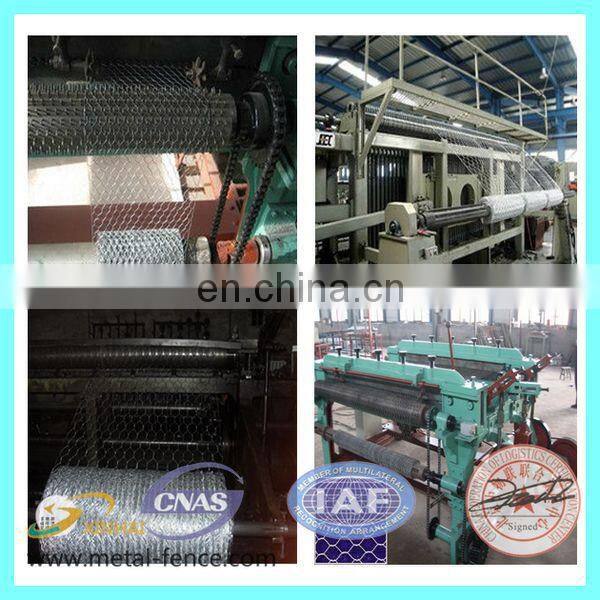 Lowest price 1/4 inch galvanized chicken wire mesh