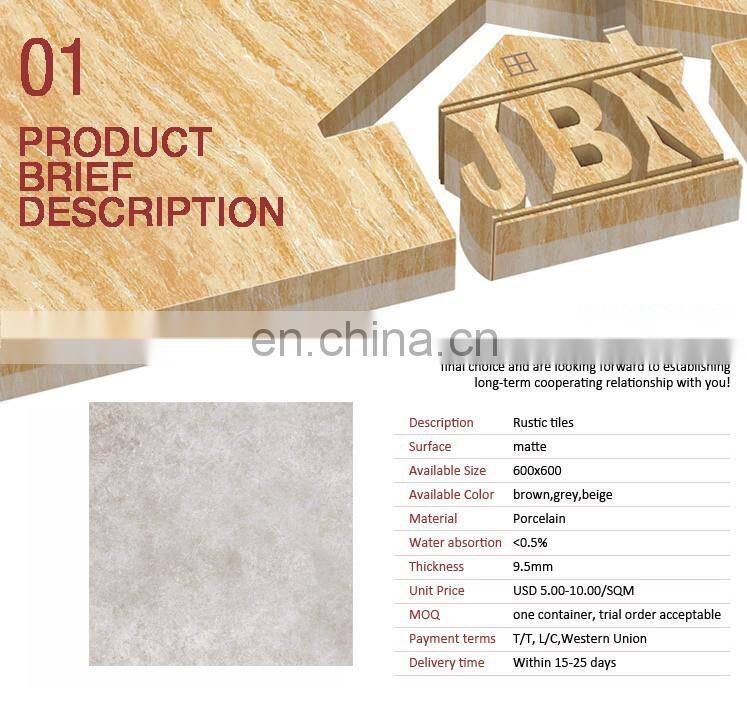 ash grey home bathroom/bedroom/kitchen matt porcelain tile 24"x24"