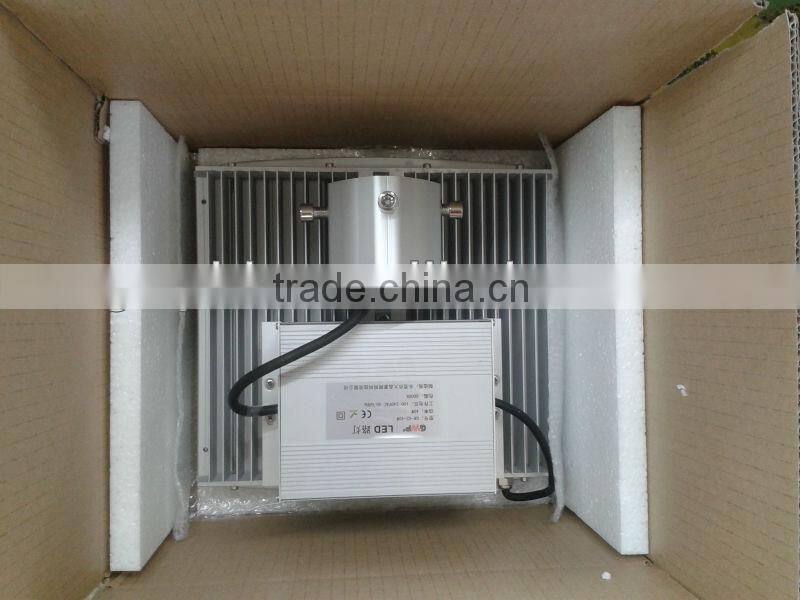 IP65 40w LED residential street lights Garden traditonal lamp replacement