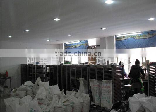 11.5g Customization Poker Chip