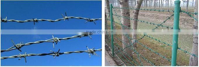 Security Galvanized Antique Barbed Wire Fence Provide Free Samples