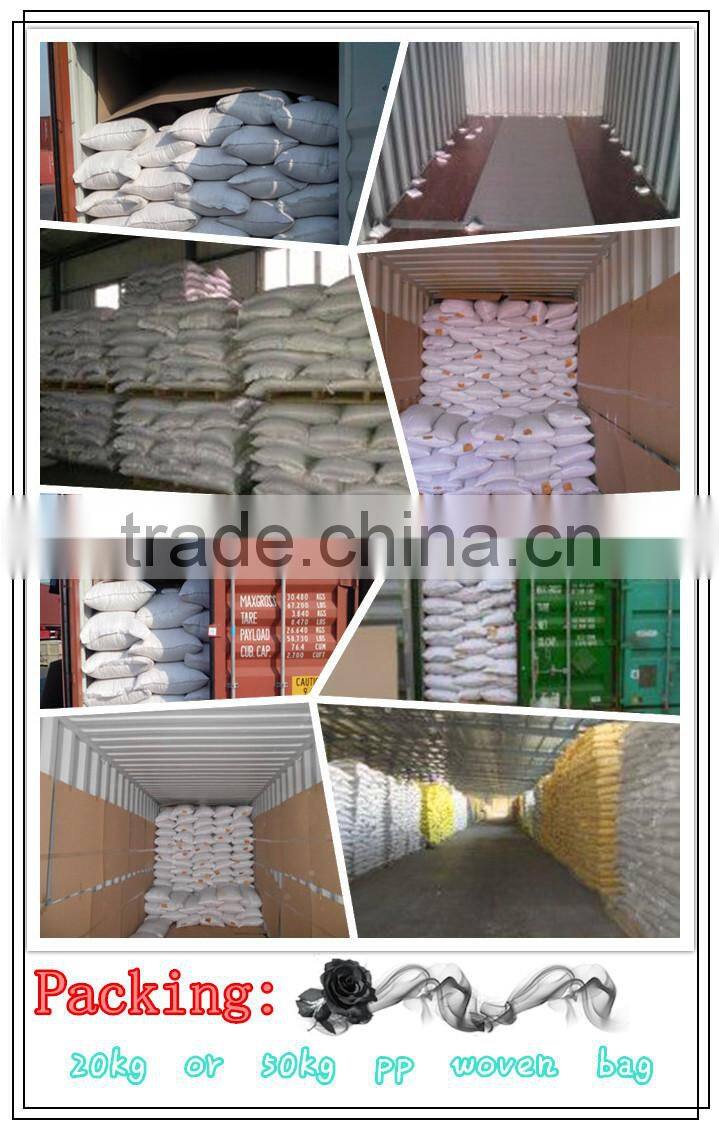 Shine Skin Pumpkin Seeeds