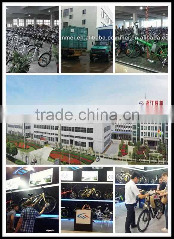 2014 new mountain lithium electric bike with Middle driver motor