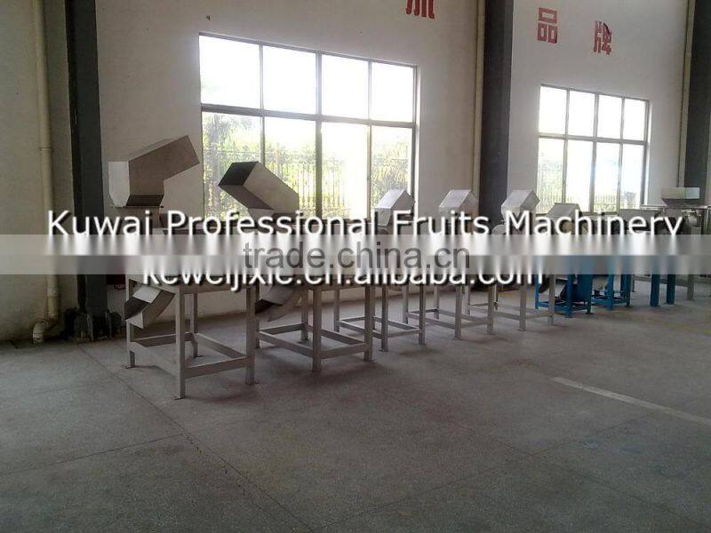 20 ton CPS-20 Model squirrel cage type garlic crushing machineI(Industrial fruit crushing machine)
