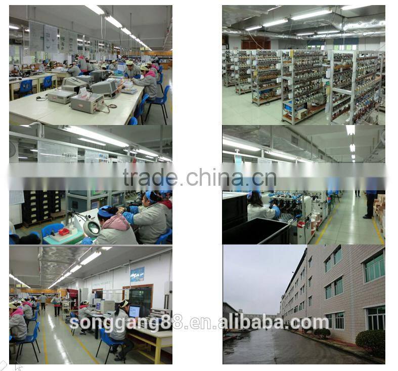 AC Electric Hysteresis Motors, AC MINI Reversible Motors, Synchronous Moteur TH-204-SG For Humidity Controller