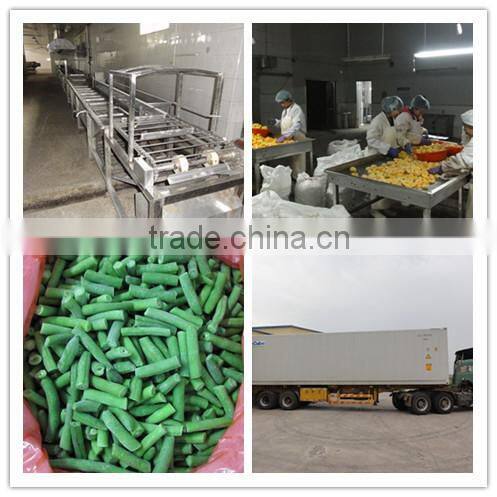 IQF Frozen green scallion cut with high quality