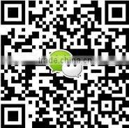 4 Wheel E Board Skateboard