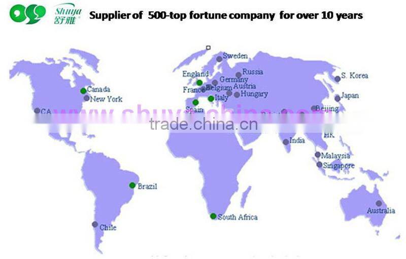 Hot sale dry net daily used Anion panty liners for women 160mm manufacturer